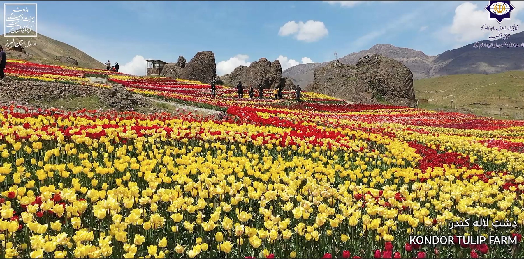 شمال میں البرز کے بلند پہاڑ اور جنوب میں ایران کا فلات — ان کے درمیان واقع ہے ایران کا سب سے نوخیز، سب سے چھوٹا مگر بےحد دلکش صوبہ البرز۔ 